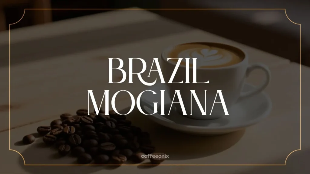 Brazil Mogiana coffee beans next to a cappuccino cup with latte art, symbolizing nutty smooth flavor and comforting warmth.