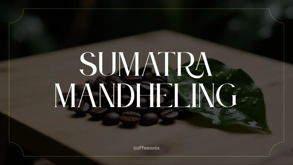 Sumatra Mandheling dark roasted beans with green coffee leaf and water droplets, emphasizing earthy and full-bodied flavor.