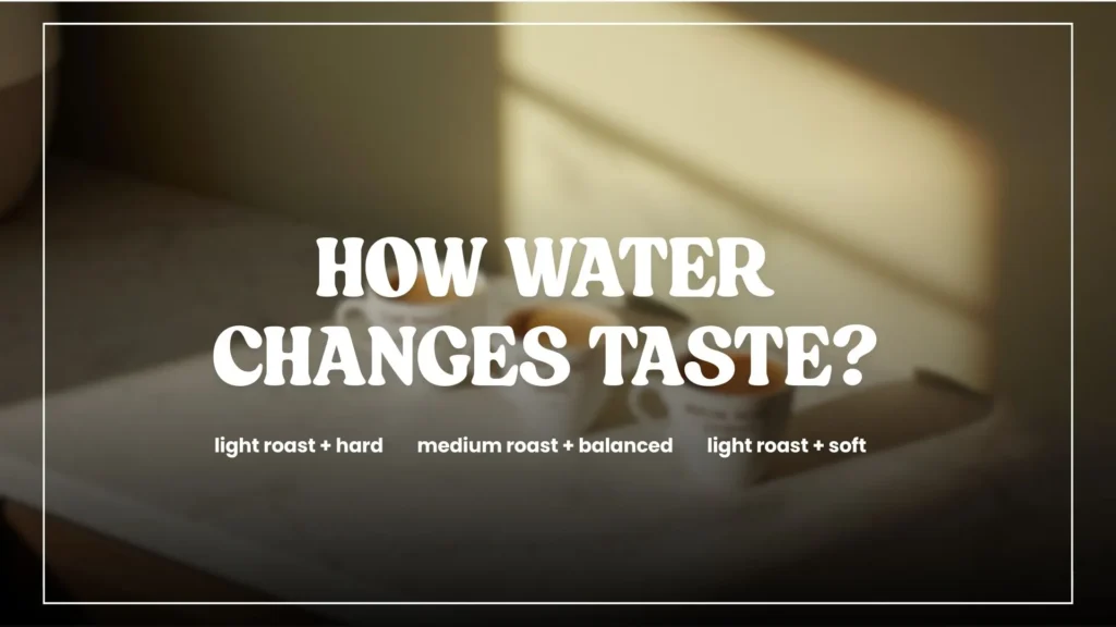 How Water Changes the Actual Taste of Coffee? Coffeeonix