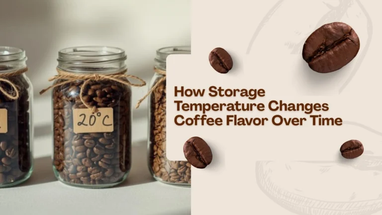 Glass jars with coffee beans stored at different temperatures illustrating how storage temperature affects coffee flavor over time